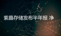 紫晶存儲發(fā)布半年報 凈利潤同比減26.9%