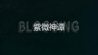 紫微神譚
