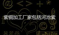 紫銅加工廠家包括河池紫銅生產(chǎn)廠家的詳細(xì)情況