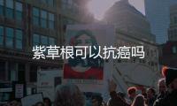 紫草根可以抗癌嗎