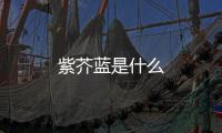 紫芥藍是什么