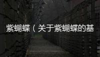 紫蝴蝶（關于紫蝴蝶的基本情況說明介紹）
