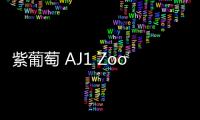 紫葡萄 AJ1 Zoom CMFT 全新“Tropical Twist”配色鞋款曝光