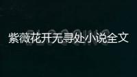 紫薇花開無尋處小說全文佚名免費閱讀