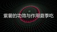 紫薯的功效與作用夏季吃紫薯的好處