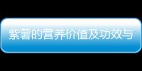 紫薯的營養價值及功效與作用