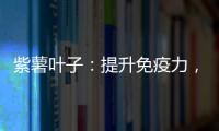 紫薯葉子：提升免疫力，煥發肌膚光彩的秘密！