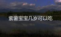 紫薯寶寶幾歲可以吃