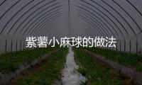 紫薯小麻球的做法