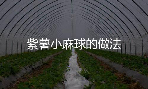 紫薯小麻球的做法