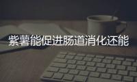 紫薯能促進腸道消化還能彌補能量紫薯和紅薯哪個更瘦身