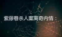 紫藤巷殺人案離奇內(nèi)情：四個專案組與警界“內(nèi)鬼”