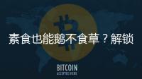 素食也能鵝不食草？解鎖營養(yǎng)師的秘密菜單！