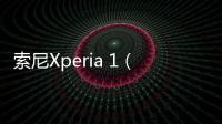 索尼Xperia 1（全網通）手機密碼忘記怎么刷機？