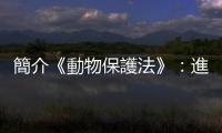 簡介《動物保護法》：進行動物實驗應該遵循何種原則？