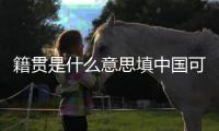 籍貫是什么意思填中國可以嗎（籍貫是填中國嗎）