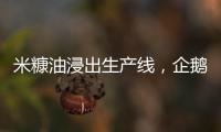 米糠油浸出生產線，企鵝糧油機械助力油廠生產健康油