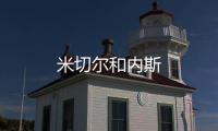 米切爾和內斯