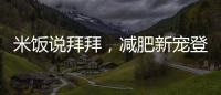 米飯說拜拜，減肥新寵登場！