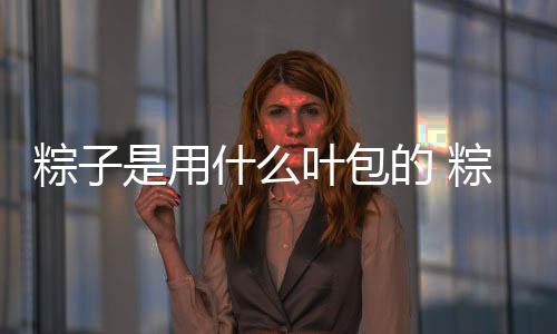 粽子是用什么葉包的 粽子葉怎么處理才能用