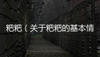 粑粑（關(guān)于粑粑的基本情況說明介紹）