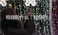 粗糙的什么（粗糙的）