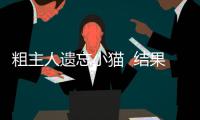粗主人遺忘小貓  結果悲劇了