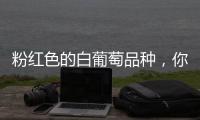 粉紅色的白葡萄品種，你見(jiàn)過(guò)哪些？
