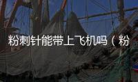 粉刺針能帶上飛機嗎（粉刺針）