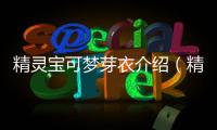 精靈寶可夢芽衣介紹（精靈寶可夢芽衣本子）