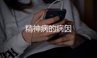 精神病的病因
