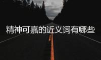 精神可嘉的近義詞有哪些（精神可嘉的近義詞）
