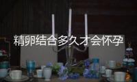 精卵結(jié)合多久才會懷孕
