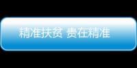 精準(zhǔn)扶貧 貴在精準(zhǔn)