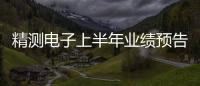 精測電子上半年業績預告亮眼，凈利潤同比大幅增長