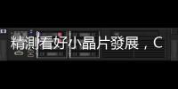 精測看好小晶片發(fā)展，CoWoS 測試方案已 Ready