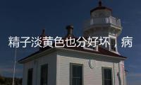 精子淡黃色也分好壞，病理性因素對生育影響別小看