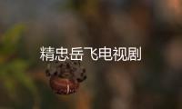 精忠岳飛電視劇
