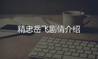 精忠岳飛劇情介紹