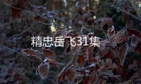 精忠岳飛31集