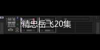 精忠岳飛20集
