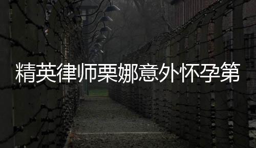 精英律師栗娜意外懷孕第幾集