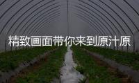 精致畫面帶你來到原汁原味的“暗黑”世界