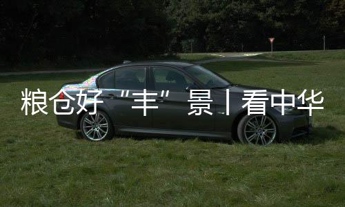 糧倉(cāng)好“豐”景丨看中華大糧倉(cāng)豐收十二時(shí)辰