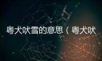 粵犬吠雪的意思（粵犬吠雪的出處及造句）