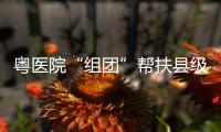 粵醫院“組團”幫扶縣級醫院藥事管理 保障患者用藥安全