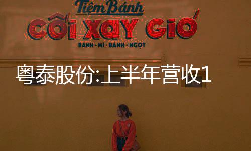 粵泰股份:上半年營收10.86億元