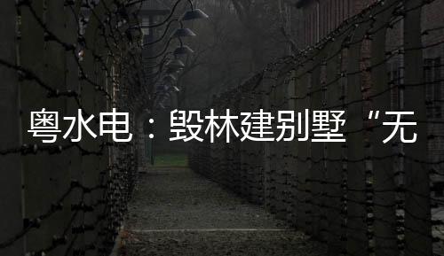 粵水電：毀林建別墅“無關我事”