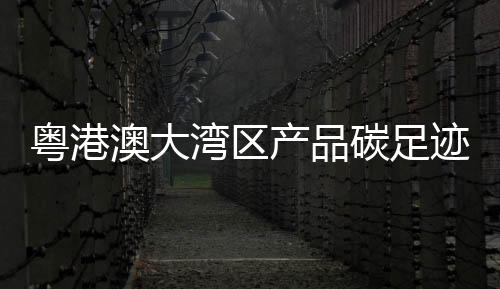 粵港澳大灣區(qū)產(chǎn)品碳足跡標(biāo)識認(rèn)證培訓(xùn)會舉行