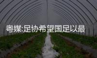 粵媒:足協希望國足以最強陣容出戰 并給生力軍更多鍛煉機會